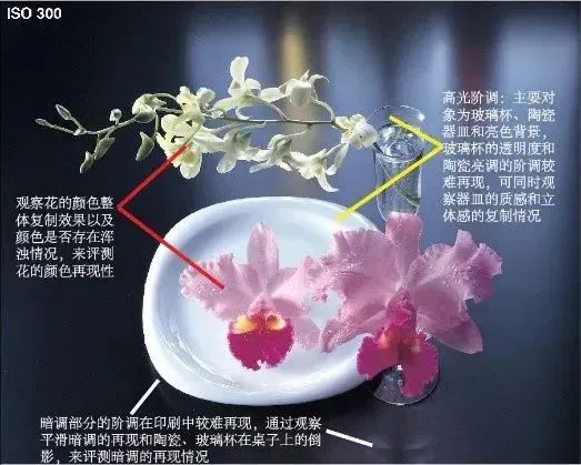 决定影像印刷品质的五大因素(图10)